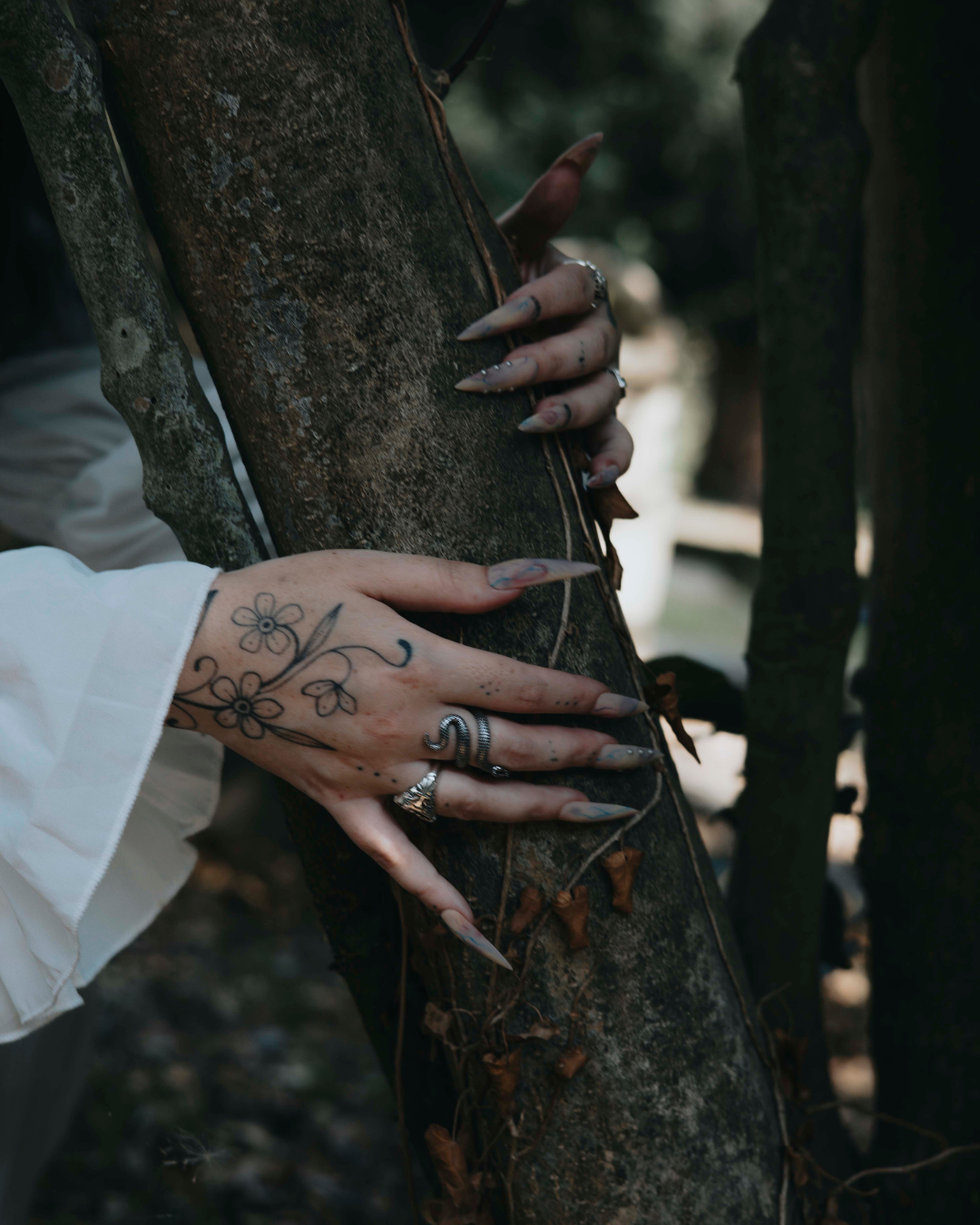 REBIRTH